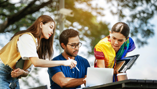 Tailored for All Levels